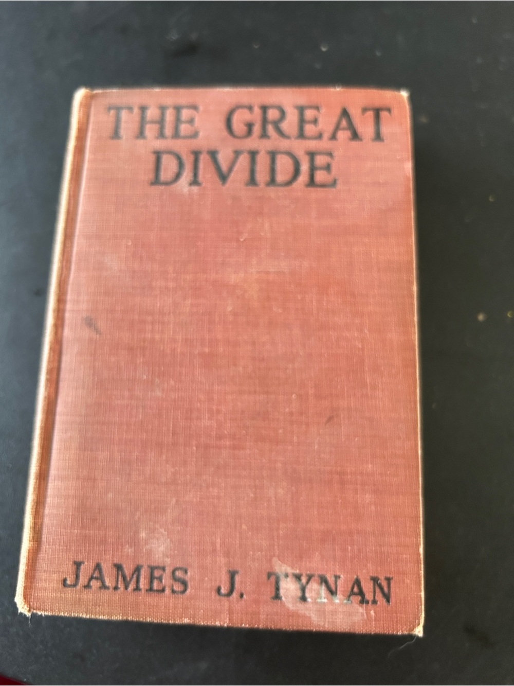 Vintage 'The Great Divide' Hardcover Book - Rust Cloth Cover